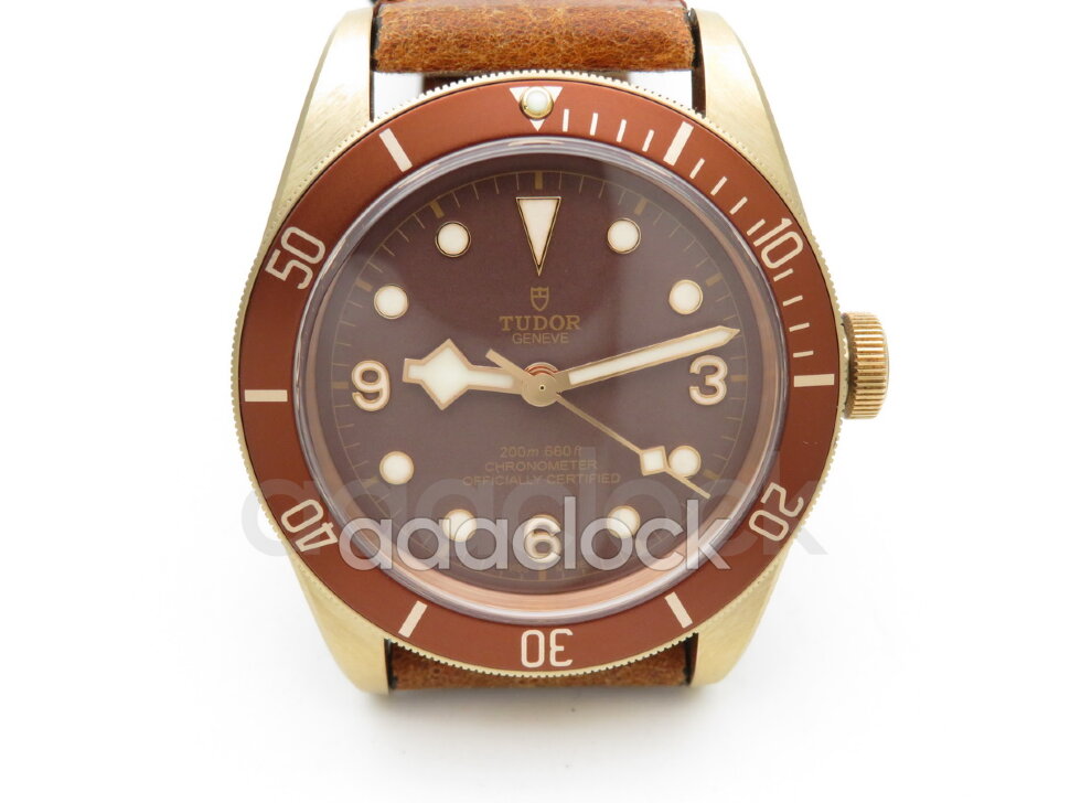 Tudor Heritage Black Bay Bronze 79250BM Арт. TU-3966 Арт. TU-3966