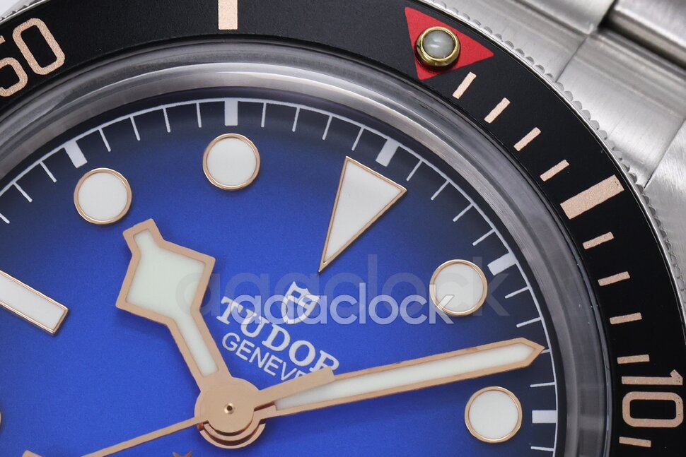 Tudor Heritage Black Bay 58 Inter Арт. TU-4314 Арт. TU-4314