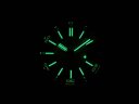 Audemars Piguet Royal Oak Offshore Diver 15710ST.OO.A051CA.01 Арт. AP-0222 Арт. AP-0222