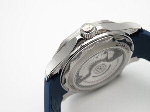 Omega Seamaster Diver 300M Chronometer 210.32.42.20.06.001