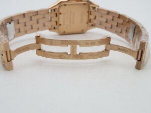 Cartier Panthere Secrete Ladies WGPN0007