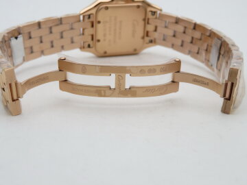 Cartier Panthere Secrete Ladies WGPN0007