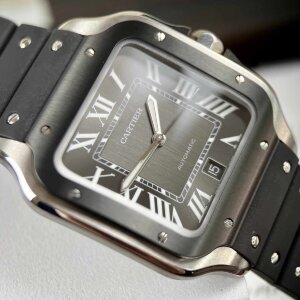 Cartier Santos De Cartier WSSA0037