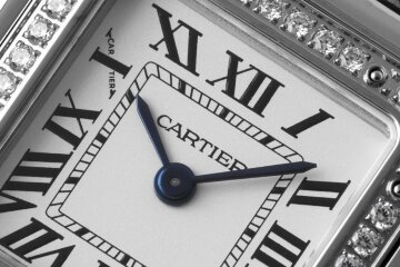 Cartier Panthere Secrete Ladies W4PN0007 Бриллиант